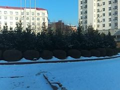 -黑龙江大学