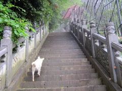 -终南山国家森林公园