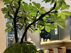 -宁海食府(总店·天一阁望京店)