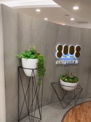 点击看大图 -八佰伴8008星级形象店