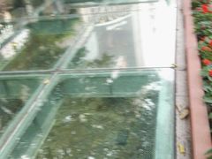 -北京路步行街-千年古道遗址