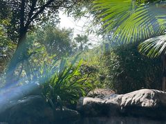 -天芳悦潭度假村温泉