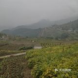 山清水秀的地方