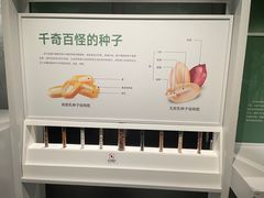 -四川大学博物馆