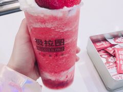 莓莓哒-极拉图·现制冰淇淋(大卫城店)