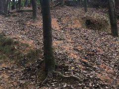-火炉山森林公园