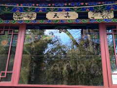 -黑龙潭公园