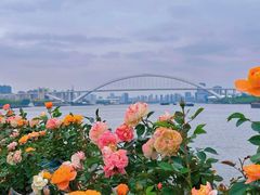 -龙美术馆(西岸馆)