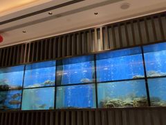 -珍宝海鲜JUMBO Seafood(尚嘉店)