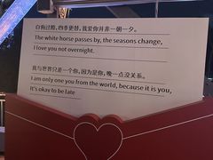 -武汉知音号