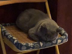 -吹泡·Triphop(棋盘店)