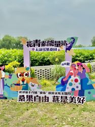 -太湖雪蚕桑文化园