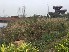 -芒洲湿地公园
