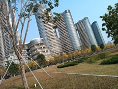 -洲头咀公园