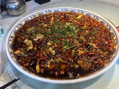 -新概念来凤鱼(璧山店)