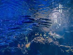 -华夏文旅海洋公园