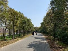 -上海海湾国家森林公园