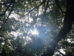 -堤角公园