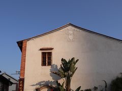 -松树干拌面店