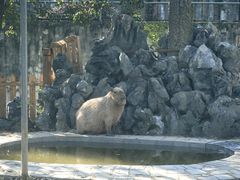 -合肥野生动物园