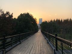 -中国浦东干部学院