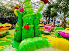 -南宫五洲植物乐园