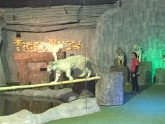 -清迈夜间动物园