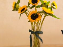 -富力丽思卡尔顿酒店健身中心