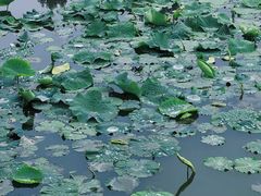 -云龙湖旅游景区