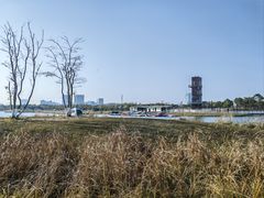 -春花秋色城市公园