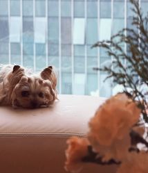 点击看大图 -栖SPA·ONDA ·海菲秀·皑皑科技美肤中心