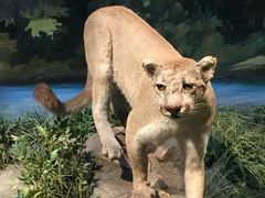 -陕西自然博物馆