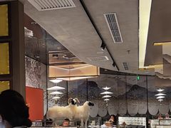 -百草滩羊清水涮羊肉·清真·宁夏盐池滩羊(莲花桥店)