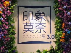 -印象莫奈时光映迹艺术展