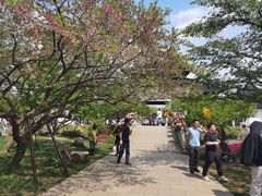 -苏州上方山国家森林公园