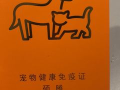 -伟伟宠物医院·CT影像中心·瑞派犬猫综合性门诊(汉口总院)