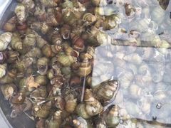 -乡乐园蟹庄·阳澄湖农家乐