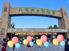 -北京野生动物园