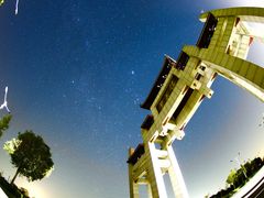 -盐城丹顶鹤湿地生态旅游区