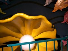 -北戴河圣蓝海洋公园