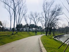 -紫金山山顶公园