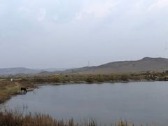 -御道口草原森林风景区