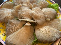 -芦月轩羊蝎子(北蜂窝店)