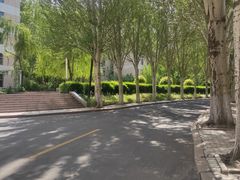 -黑龙江大学