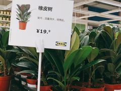 -IKEA宜家家居(南京商场)