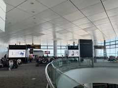 -郑州新郑国际机场-T2航站楼