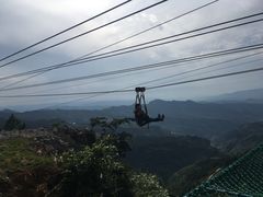 -梦幻奥陶纪景区