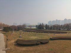 -渭滨公园