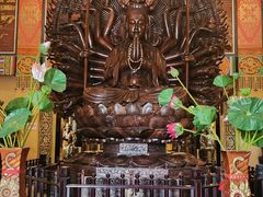 -乐山乌木文化博览苑