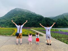 -广州市石门国家森林公园